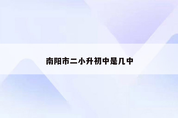 南阳市二小升初中是几中