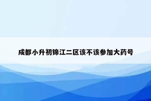 成都小升初锦江二区该不该参加大药号