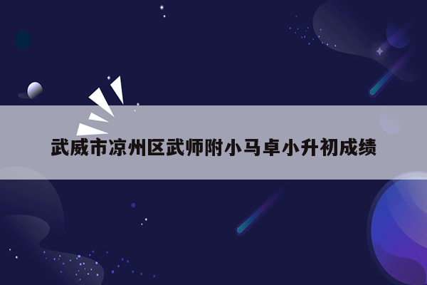 武威市凉州区武师附小马卓小升初成绩