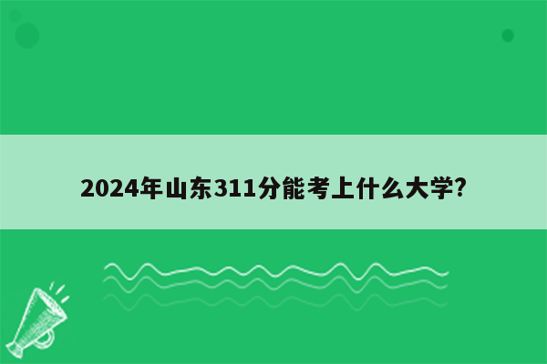 2024年山东311分能考上什么大学?