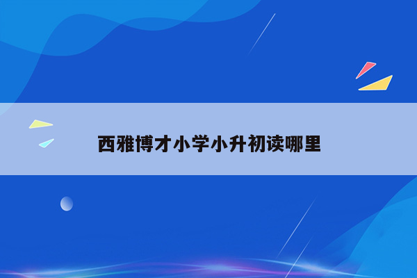 西雅博才小学小升初读哪里