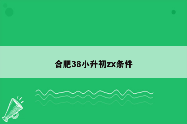 合肥38小升初zx条件