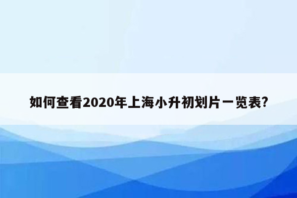 如何查看2020年上海小升初划片一览表?