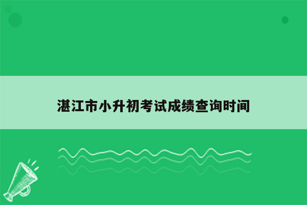 湛江市小升初考试成绩查询时间