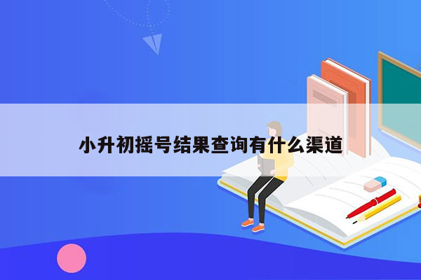 小升初摇号结果查询有什么渠道