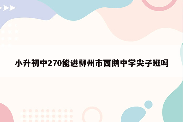 小升初中270能进柳州市西鹅中学尖子班吗