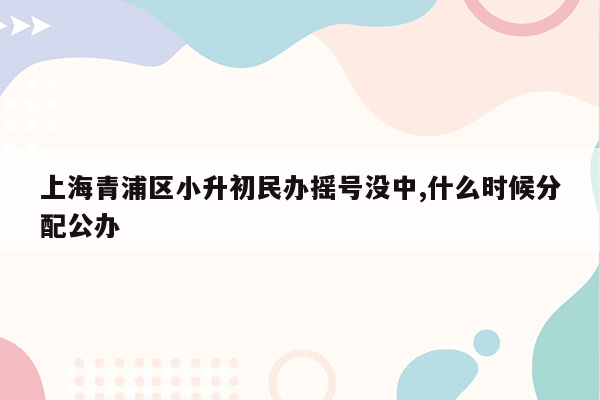 上海青浦区小升初民办摇号没中,什么时候分配公办