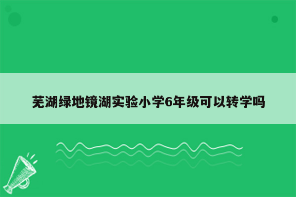 芜湖绿地镜湖实验小学6年级可以转学吗