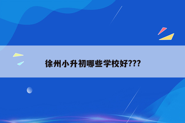 徐州小升初哪些学校好???