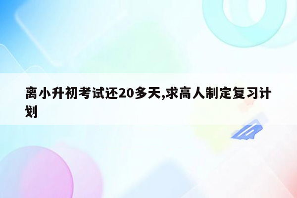 离小升初考试还20多天,求高人制定复习计划