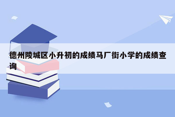 德州陵城区小升初的成绩马厂街小学的成绩查询