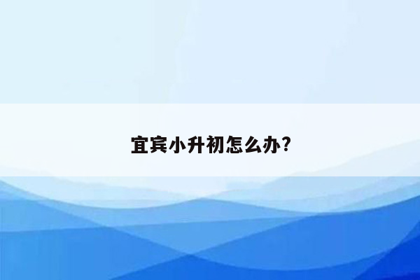 宜宾小升初怎么办?