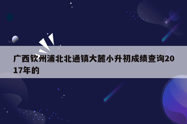 广西钦州浦北北通镇大麓小升初成绩查询2017年的