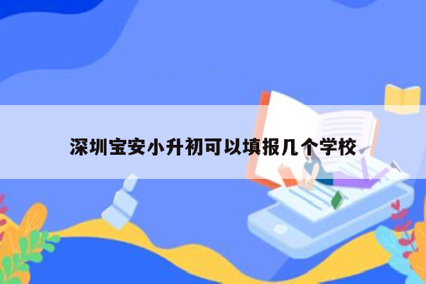 深圳宝安小升初可以填报几个学校