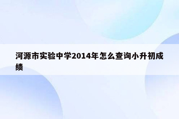 河源市实验中学2014年怎么查询小升初成绩