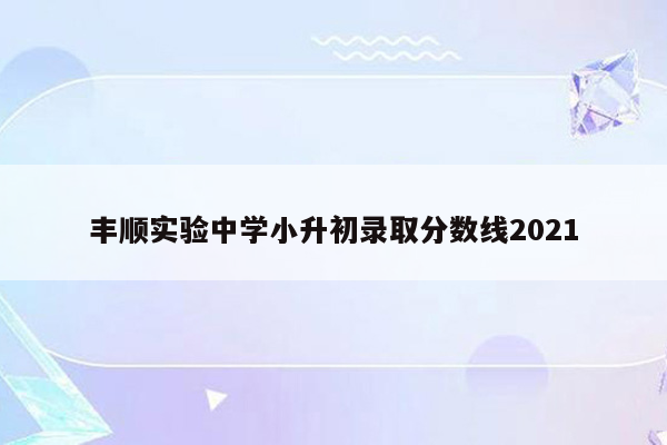 丰顺实验中学小升初录取分数线2021