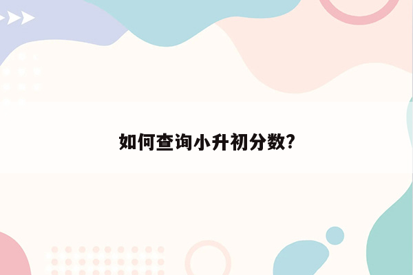 如何查询小升初分数?