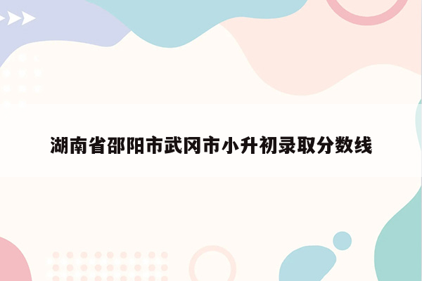 湖南省邵阳市武冈市小升初录取分数线