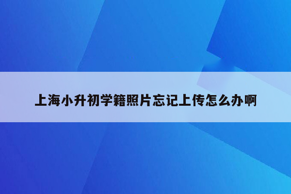 上海小升初学籍照片忘记上传怎么办啊