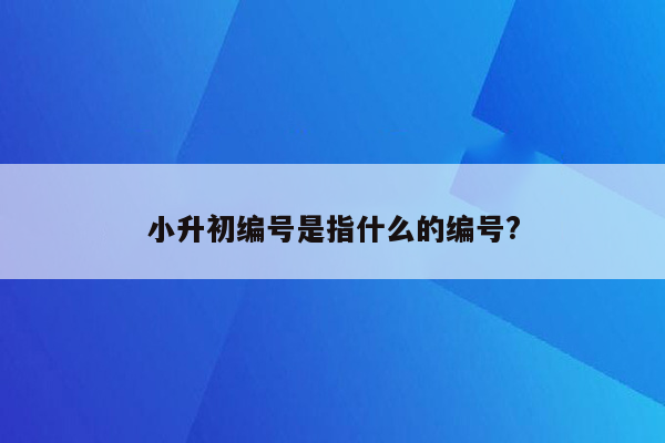 小升初编号是指什么的编号?