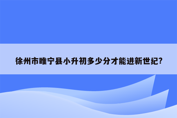 徐州市睢宁县小升初多少分才能进新世纪?