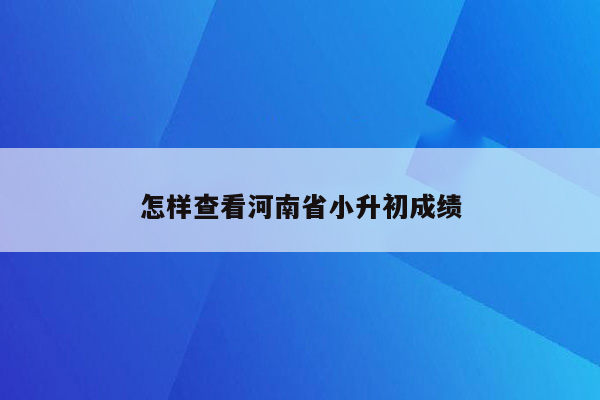 怎样查看河南省小升初成绩