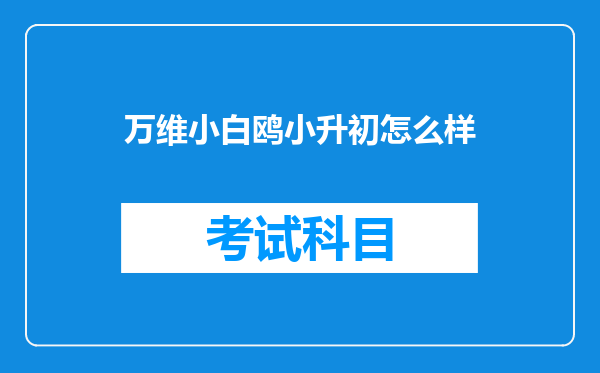 万维小白鸥小升初怎么样