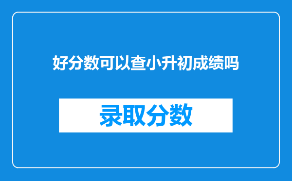 好分数可以查小升初成绩吗