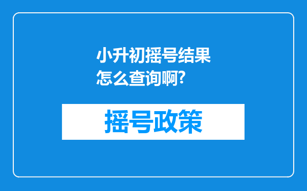 小升初摇号结果怎么查询啊?