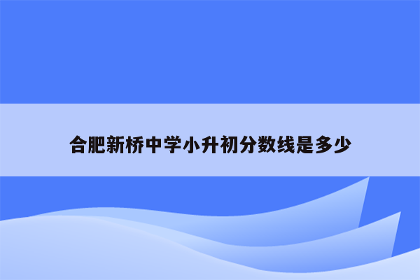 合肥新桥中学小升初分数线是多少