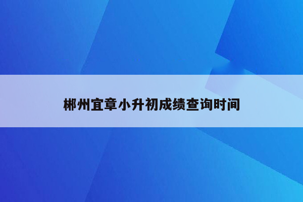 郴州宜章小升初成绩查询时间