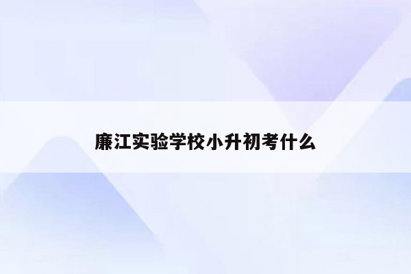 廉江实验学校小升初考什么