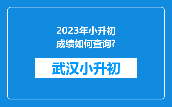 2023年小升初成绩如何查询?