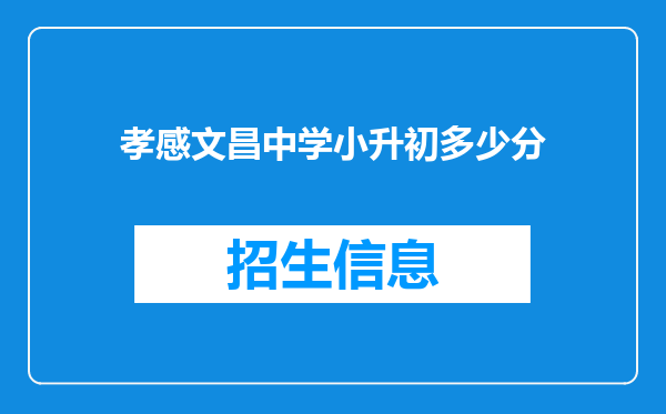 孝感文昌中学小升初多少分