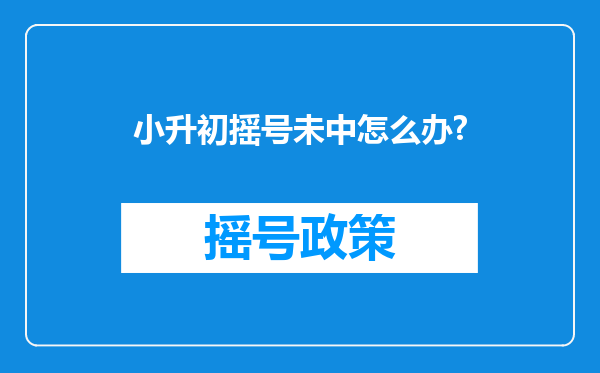 小升初摇号未中怎么办?