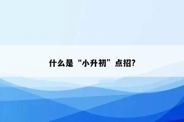 什么是“小升初”点招?