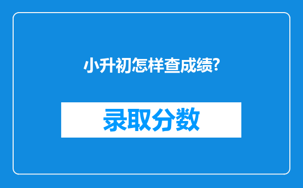 小升初怎样查成绩?