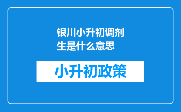 银川小升初调剂生是什么意思