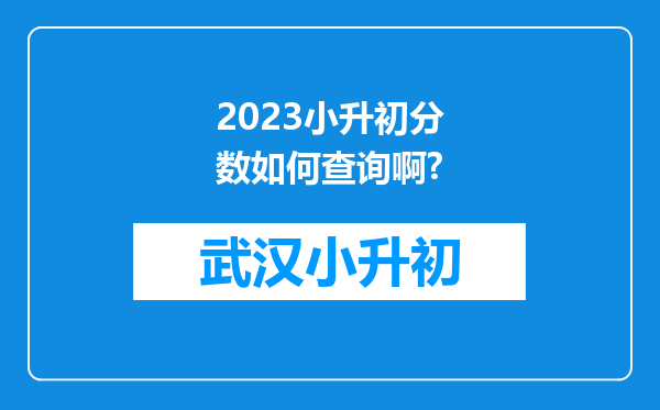 2023小升初分数如何查询啊?