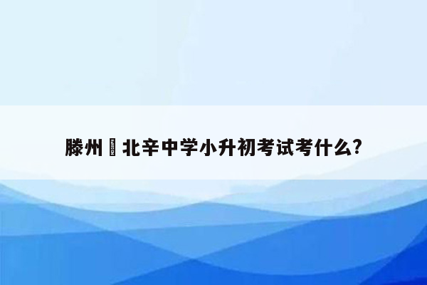 滕州巿北辛中学小升初考试考什么?