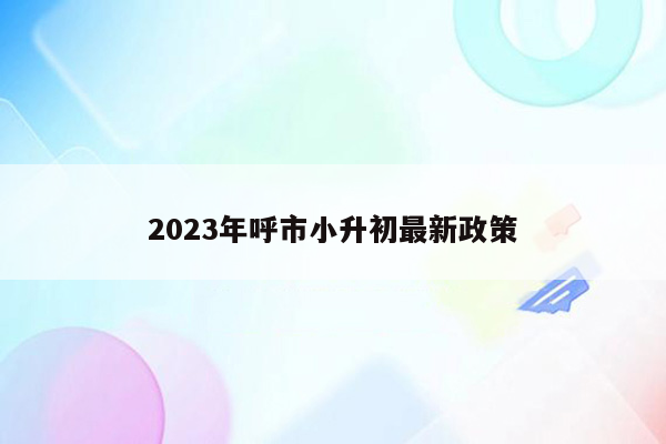 2023年呼市小升初最新政策