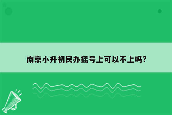 南京小升初民办摇号上可以不上吗?