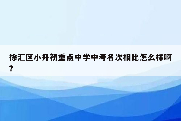 徐汇区小升初重点中学中考名次相比怎么样啊?