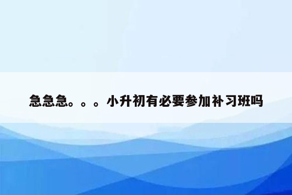 急急急。。。小升初有必要参加补习班吗