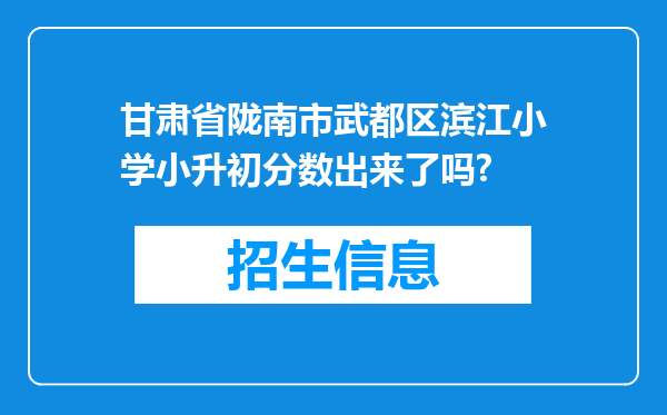 甘肃省陇南市武都区滨江小学小升初分数出来了吗?