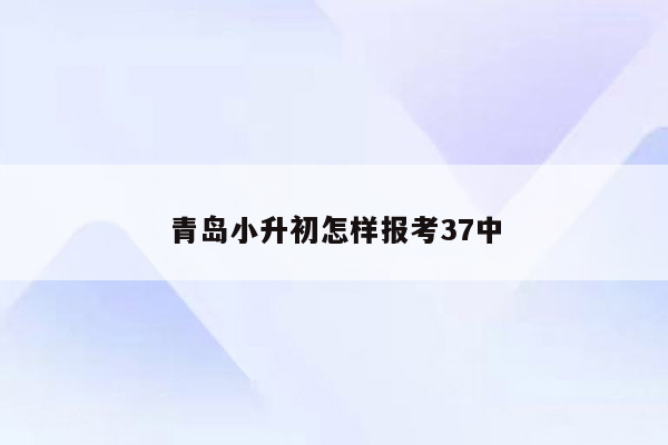 青岛小升初怎样报考37中