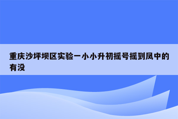 重庆沙坪坝区实验一小小升初摇号摇到凤中的有没