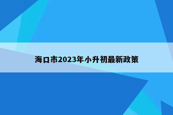 海口市2023年小升初最新政策