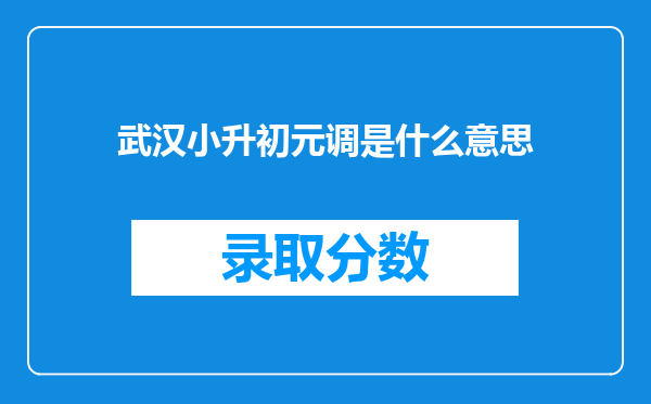 武汉小升初元调是什么意思