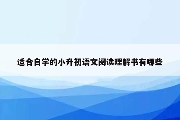 适合自学的小升初语文阅读理解书有哪些